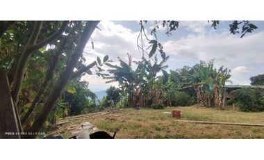 Lote con cultivo para la venta en el sector de combia, Pereira!!!