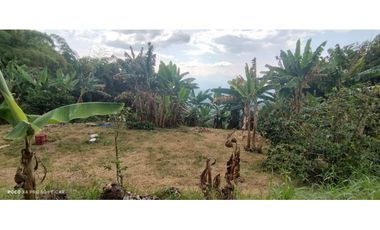 Lote con cultivo para la venta en el sector de combia, Pereira!!!