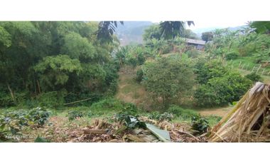 Lote con cultivo para la venta en el sector de combia, Pereira!!!