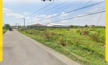 Disewakan Tanah Super Luas: Ngringo, Jaten–Akses Kontainer, Strategis!