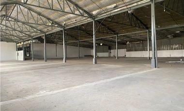 GALERA / TOCUMEN STORAGE COMPLEX / 925 M2 / VIA PRINCIPAL / VACIO