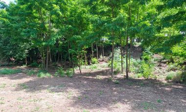 Parcela en venta en COIHUECO