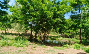 Parcela en venta en COIHUECO