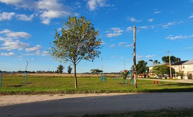 VENTA LOTE BARRIO Etchepare
