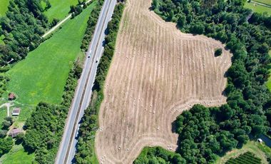 Sitio en Venta en Parcelación Agricola Los Cerezos, Terrenos de 5.000 m2, Paillaco, Valdivia