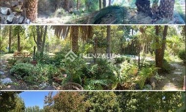 Parcela en Arriendo en Catemito