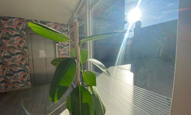 VENTA DEPARTAMENTO 2 AMBIENTES PB COCHERA PADUA