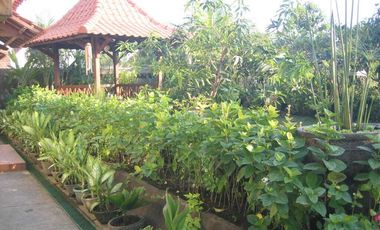 Di jual rumah pribadi lt 659m karena pemilik pindah rumah