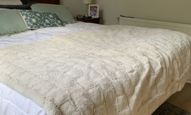 GRAHAM BELL/OBISPO FUENZALIDA