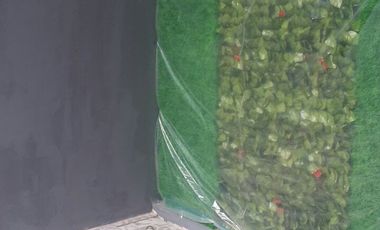 Sewa Rumah semi furnished dua lantai di Cluster Bukit Cimanggu City Bo