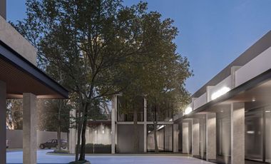 Inversión en Plaza Comercial