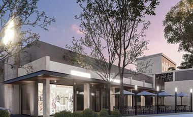 Inversión en Plaza Comercial