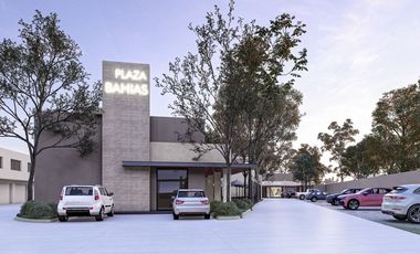 Inversión en Plaza Comercial