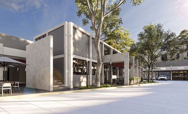 Inversión en Plaza Comercial