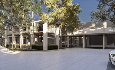 Inversión en Plaza Comercial