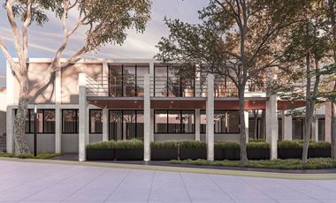 Inversión en Plaza Comercial