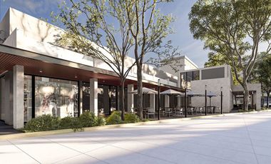 Inversión en Plaza Comercial