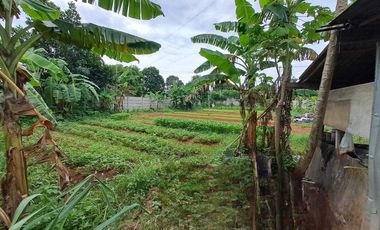 Disewakan tanah murah pinggir jln raya gunung sindur cocok untuk usaha