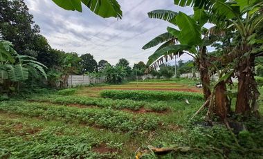 Disewakan tanah murah pinggir jln raya gunung sindur cocok untuk usaha