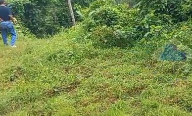 Jual Tanah Murah di Margamulya, Cileles, Lebak, Banten