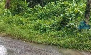 Jual Tanah Murah di Margamulya, Cileles, Lebak, Banten