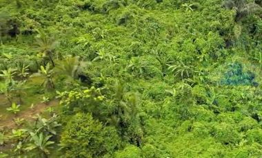 Jual Tanah Murah di Margamulya, Cileles, Lebak, Banten