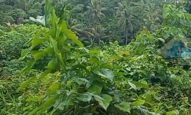 Jual Tanah Murah di Margamulya, Cileles, Lebak, Banten