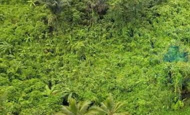 Jual Tanah Murah di Margamulya, Cileles, Lebak, Banten