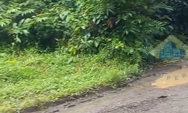 Jual Tanah Murah di Margamulya, Cileles, Lebak, Banten