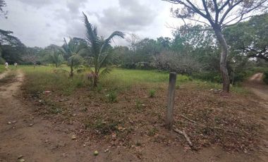 Terreno en venta en Veracruz, Ejido las Puertas, Jamapa Veracruz.
