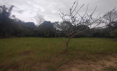 Terreno en venta en Veracruz, Ejido las Puertas, Jamapa Veracruz.