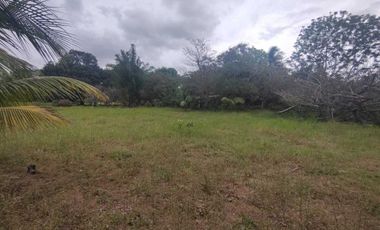 Terreno en venta en Veracruz, Ejido las Puertas, Jamapa Veracruz.