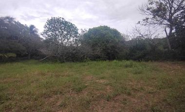 Terreno en venta en Veracruz, Ejido las Puertas, Jamapa Veracruz.