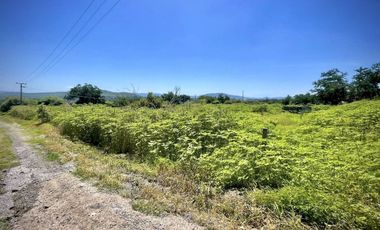 TERRENO EN VENTA EN TEQUESQUITENGO