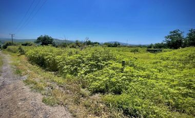 TERRENO EN VENTA EN TEQUESQUITENGO