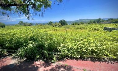 TERRENO EN VENTA EN TEQUESQUITENGO