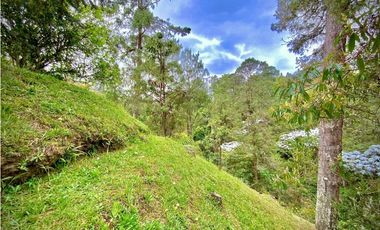 Venta Espectacular Casa Campestre Parcelacion El Retiro