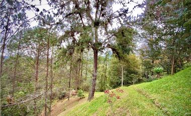 Venta Espectacular Casa Campestre Parcelacion El Retiro