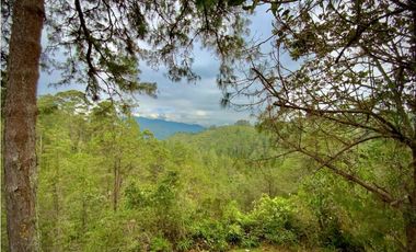 Venta Espectacular Casa Campestre Parcelacion El Retiro