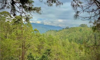 Venta Espectacular Casa Campestre Parcelacion El Retiro