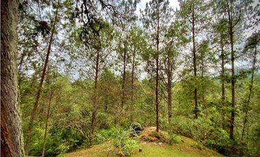 Venta Espectacular Casa Campestre Parcelacion El Retiro