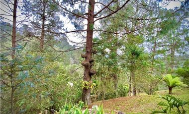 Venta Espectacular Casa Campestre Parcelacion El Retiro