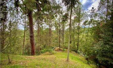 Venta Espectacular Casa Campestre Parcelacion El Retiro