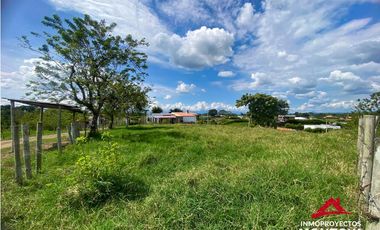 Lote sector vía Alcalá-Cartago