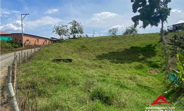 Lote sector vía Alcalá-Cartago