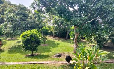 Casa Campestre En Parcelacion Privada - La Mesa