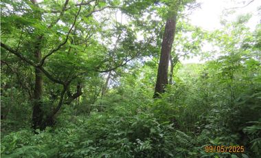 SEA CONFIABLE VENDE TERRENO EN SAN CARLITOS DAVID CHIRIQUI