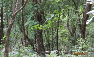 SEA CONFIABLE VENDE TERRENO EN SAN CARLITOS DAVID CHIRIQUI