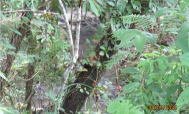 SEA CONFIABLE VENDE TERRENO EN SAN CARLITOS DAVID CHIRIQUI