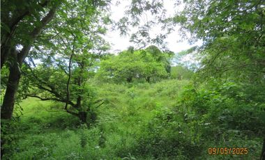 SEA CONFIABLE VENDE TERRENO EN SAN CARLITOS DAVID CHIRIQUI